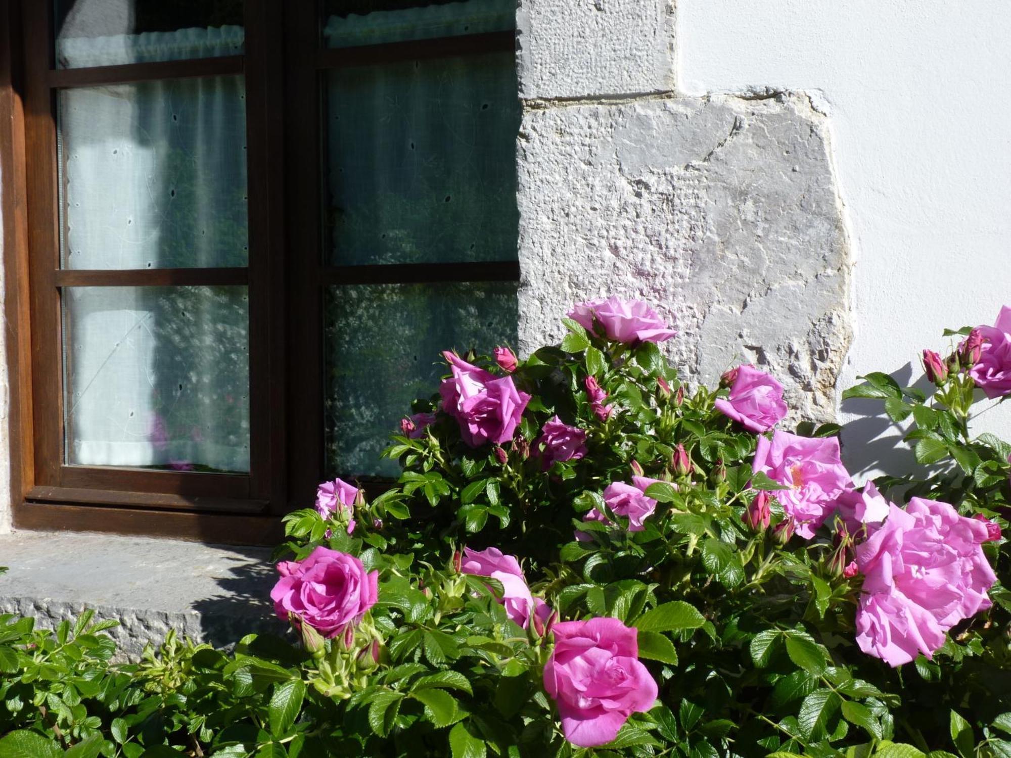 Casa Rural Los Riegos Caso Eksteriør billede